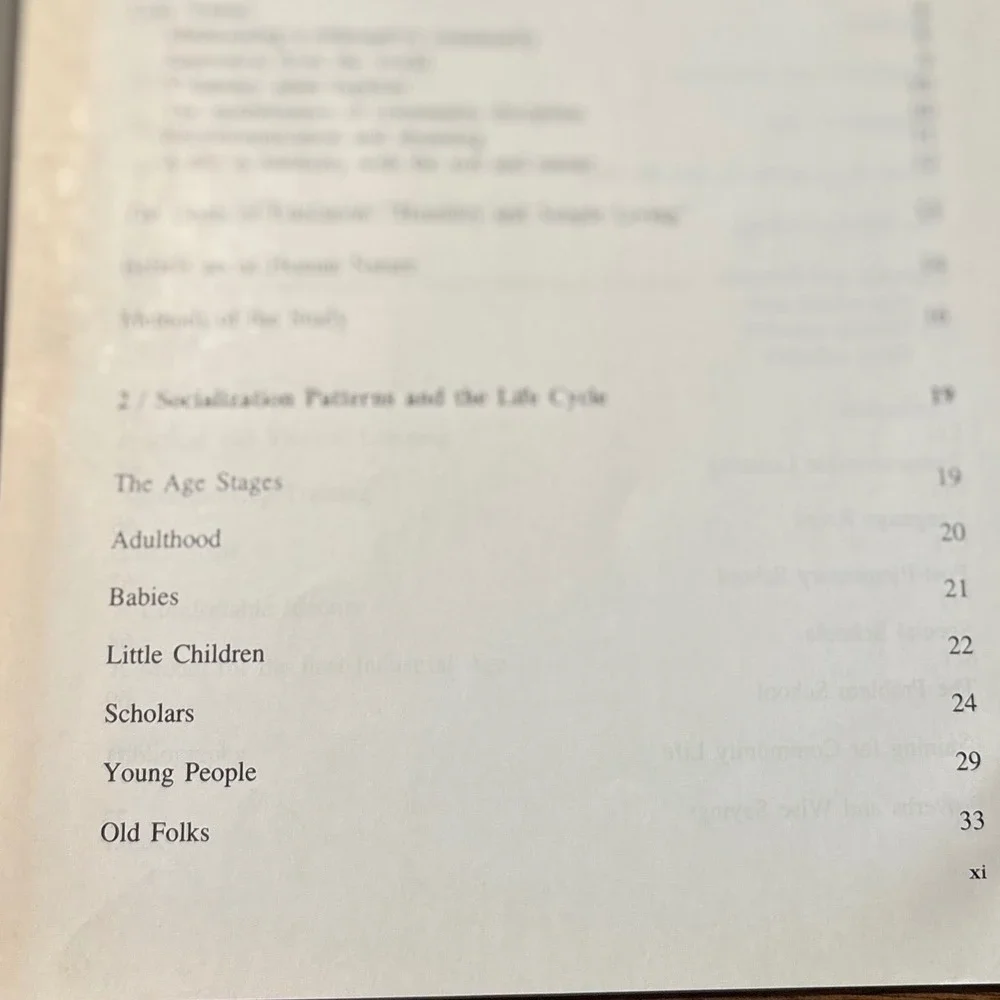 Amish Children Education Family School Community 2nd Ed Hostetler 1992 Sociology